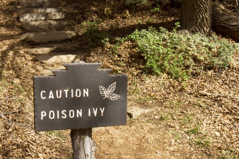 poison ivy sign