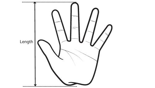 Length-Measurement-of-Batting-Gloves
