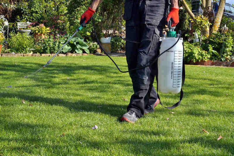 Person using sprayer with an herbicide, fertilizer or pesticide on a lawn