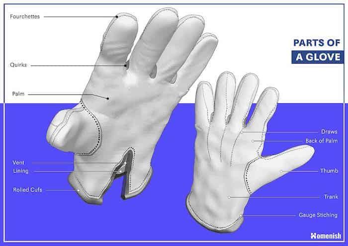 Parts of a glove diagram