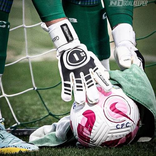 N1 Goalkeeper Gloves