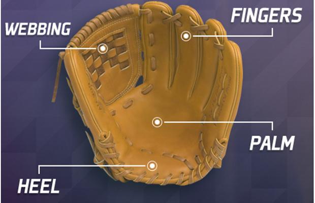 Parts of a Baseball/Softball Glove