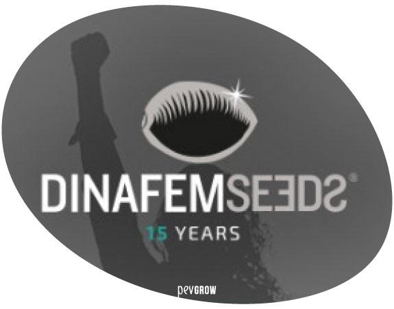 Image of the Dinafem logo for its 15th anniversary*