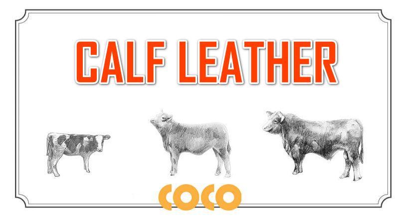 CALF leather là gì?