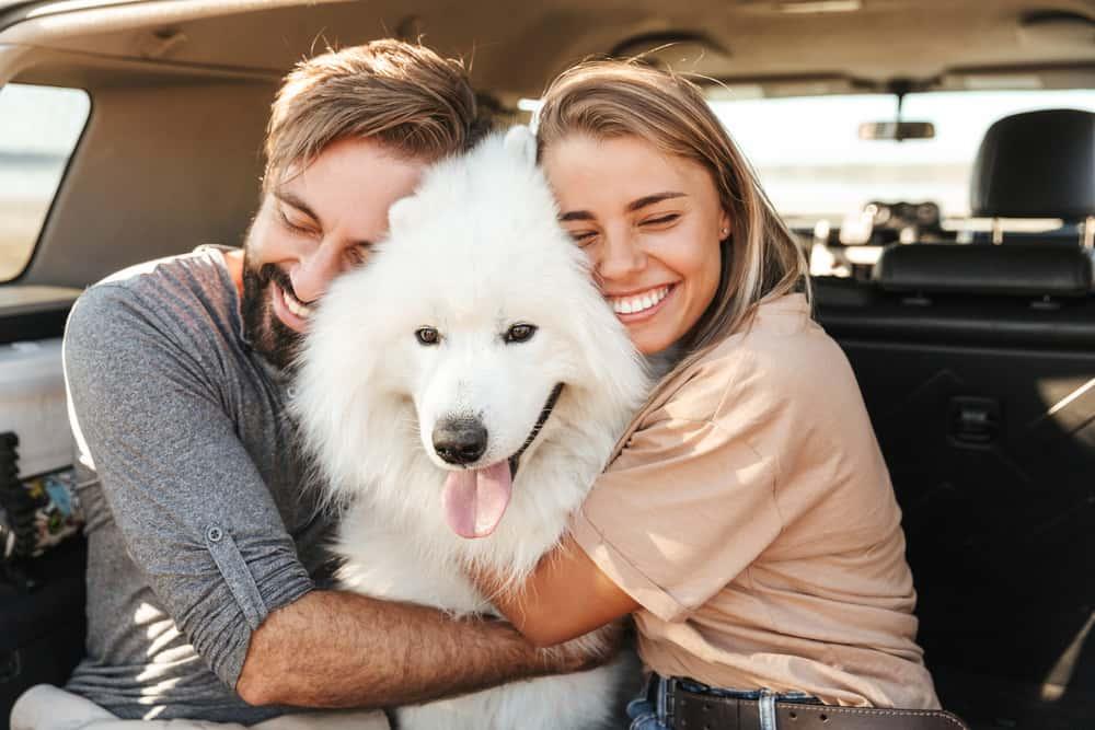couple sitting in the back of their car at the beach, playing with dog