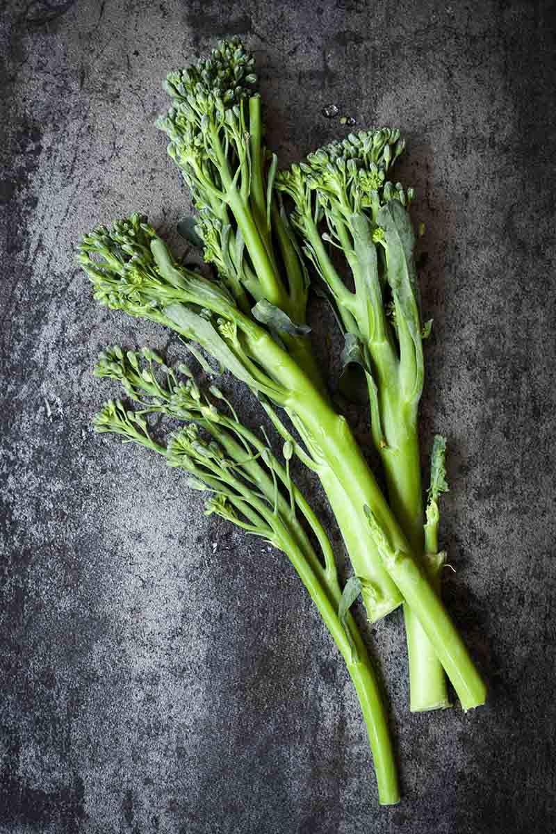 A vertical close up picture of stems of fresh broccolini pictured on a gray textured background.