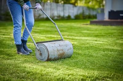 seeding-new-lawns