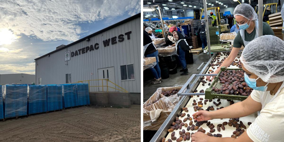 A series of photos, first showing the exterior of a warehouse with large black lettering reading "DatePac West" on the side, and two women wearing hairnets, face masks, and aprons working to sort fresh dates on a conveyor belt in a warehouse or factory setting