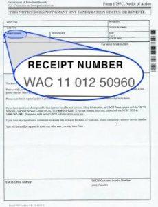 how to read a uscis receipt number