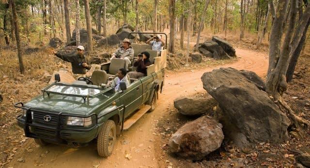 Jeep safari in India: India safari
