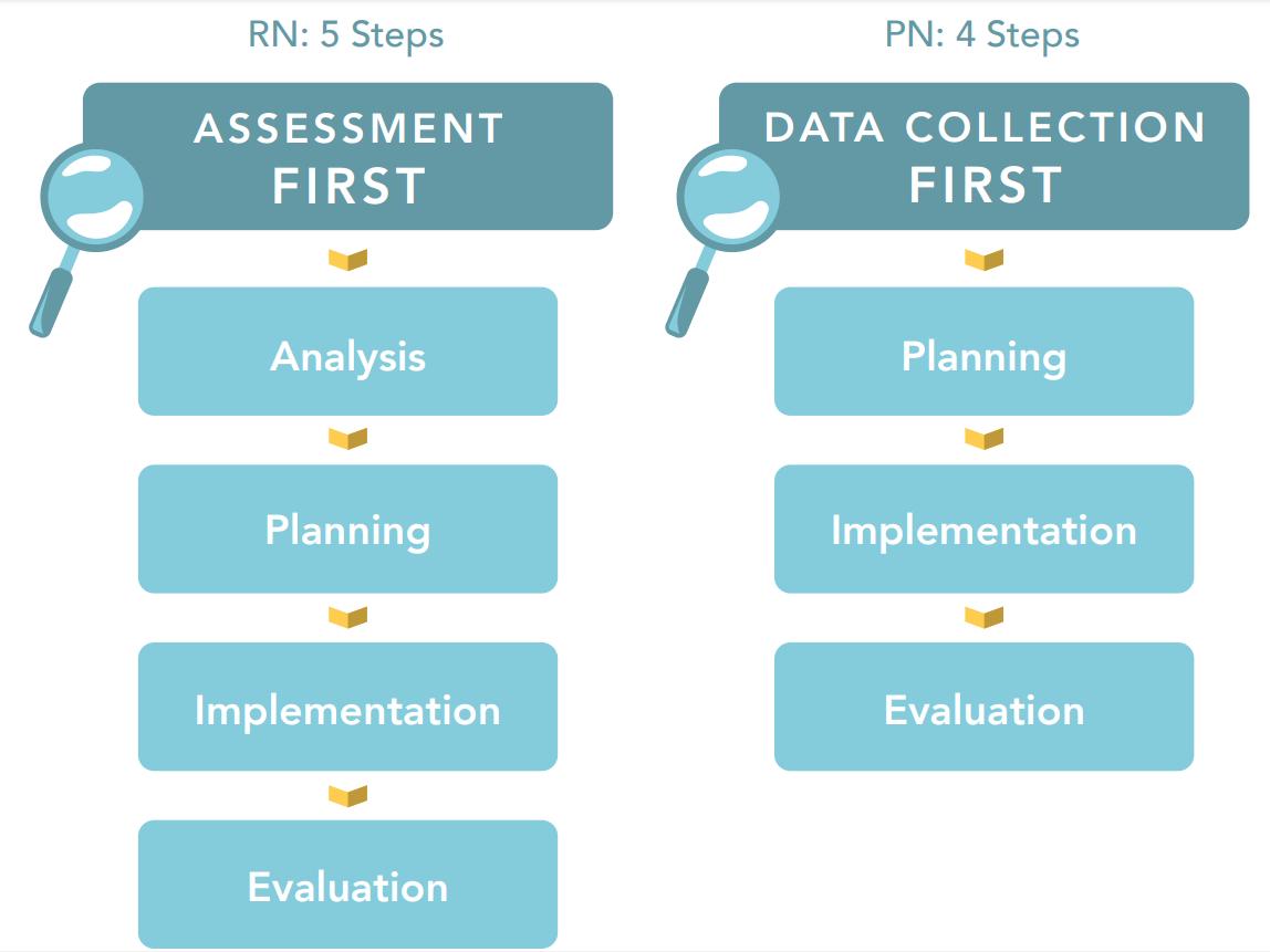 The Nursing Process