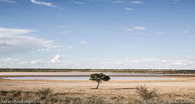 10 Interesting Kalahari Desert Facts