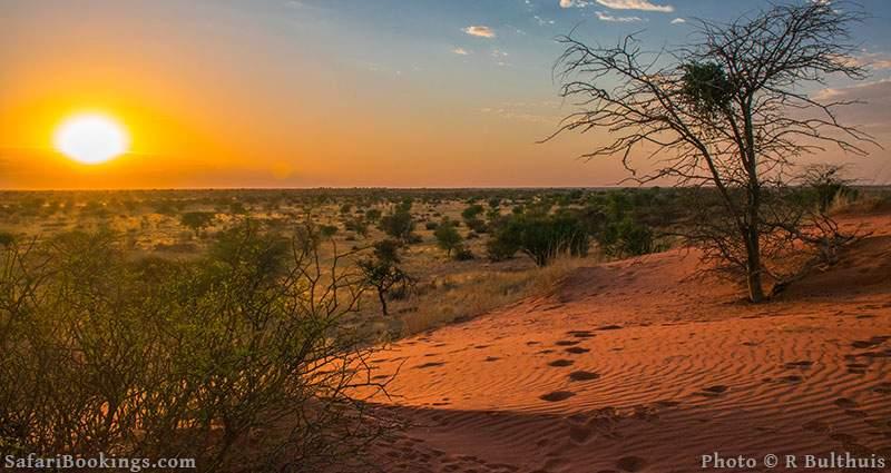 Sunrise in the desert, Kalahari, Namibia