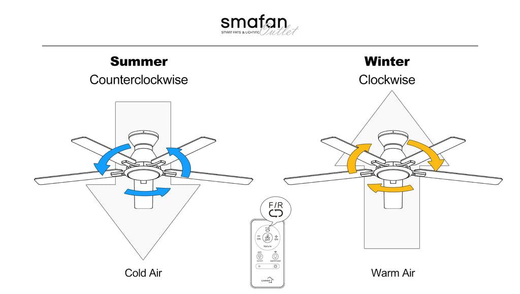 DC motor ceiling fan reversible motor