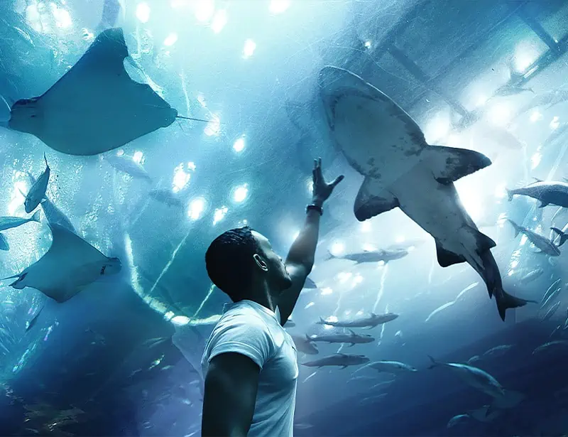 man inside aquarium tunnel