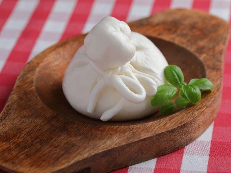 burrata