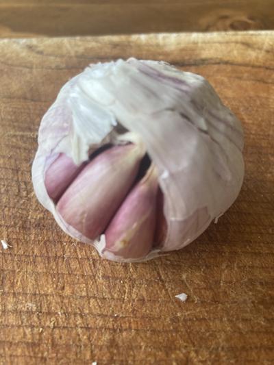 garlic head showing cloves inside