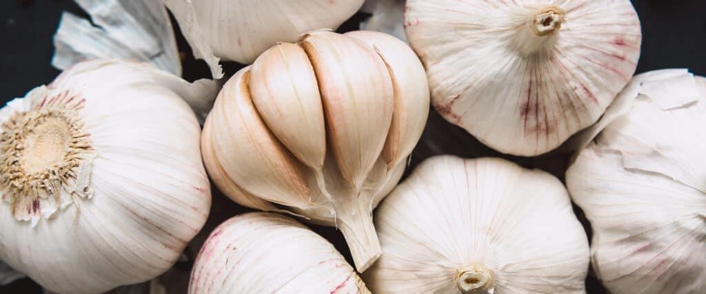 Bulbs of Garlic