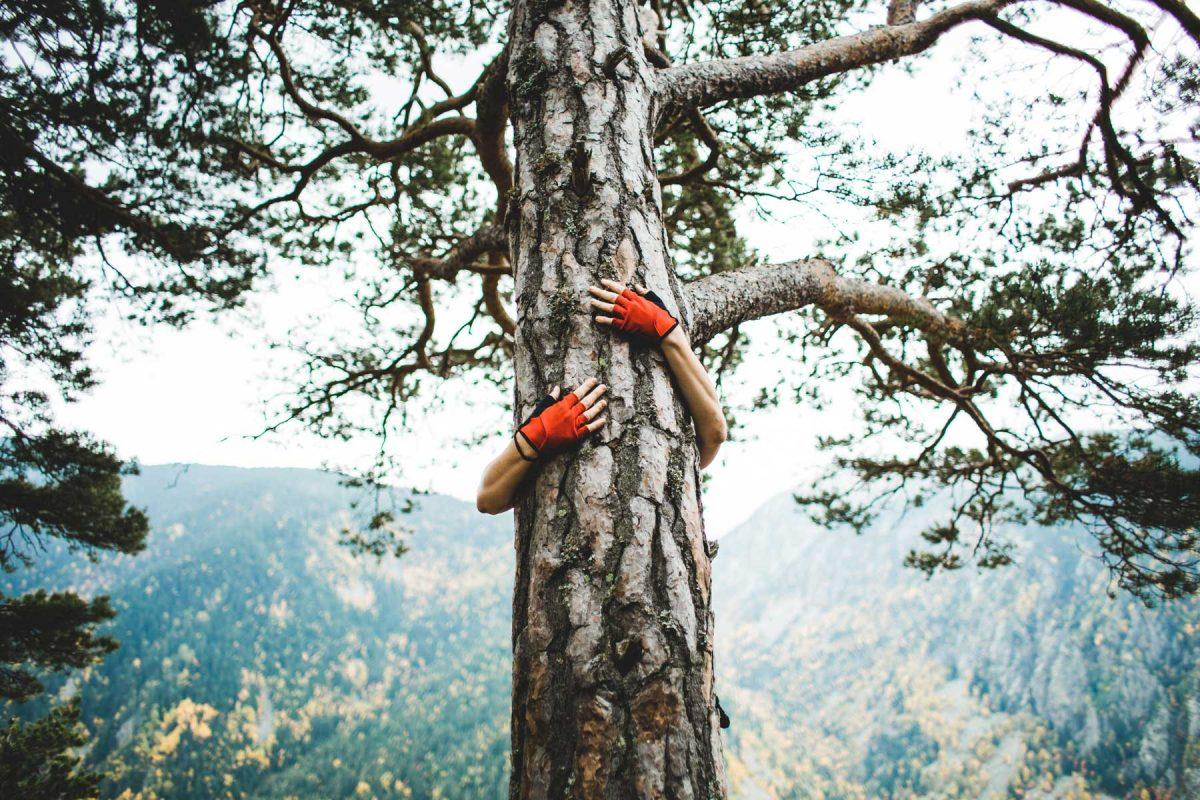 Tree hugger with fingerless gloves