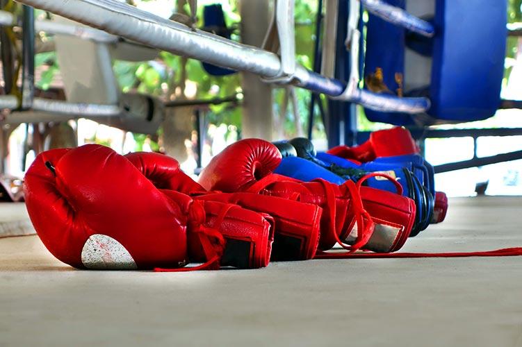 Guide to choosing the best Muay Thai gloves for beginner