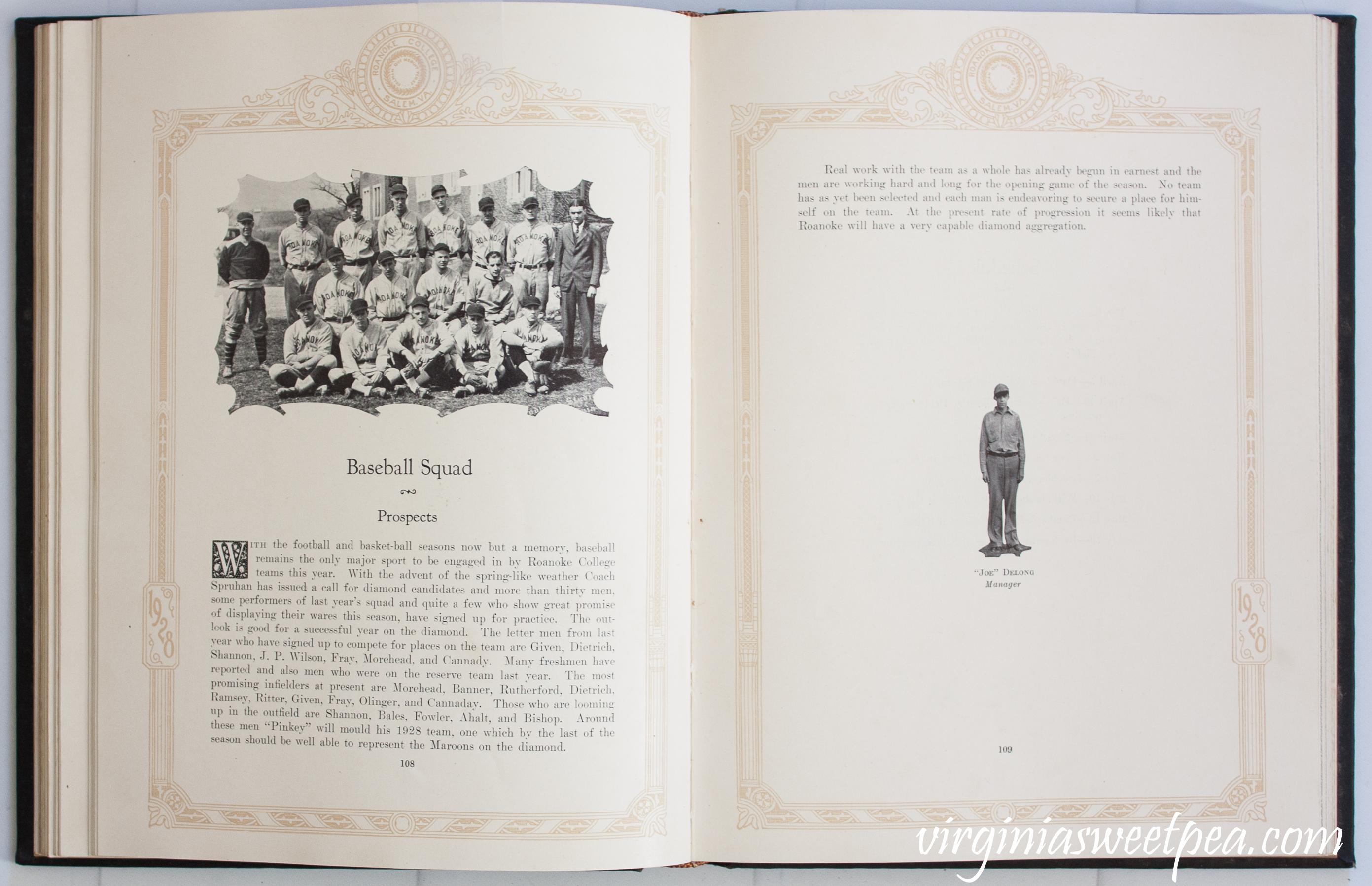 1928 Roanoke College Baseball Team