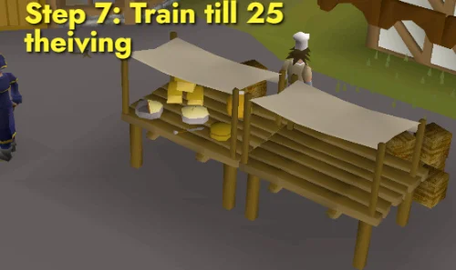 Train till 25 thieving
