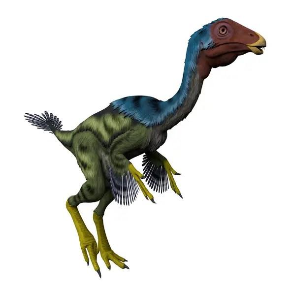 Thecondontosaurus