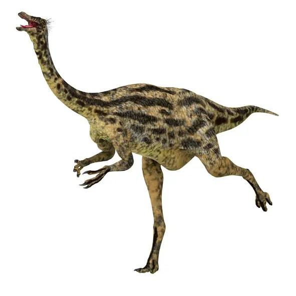 Troodon