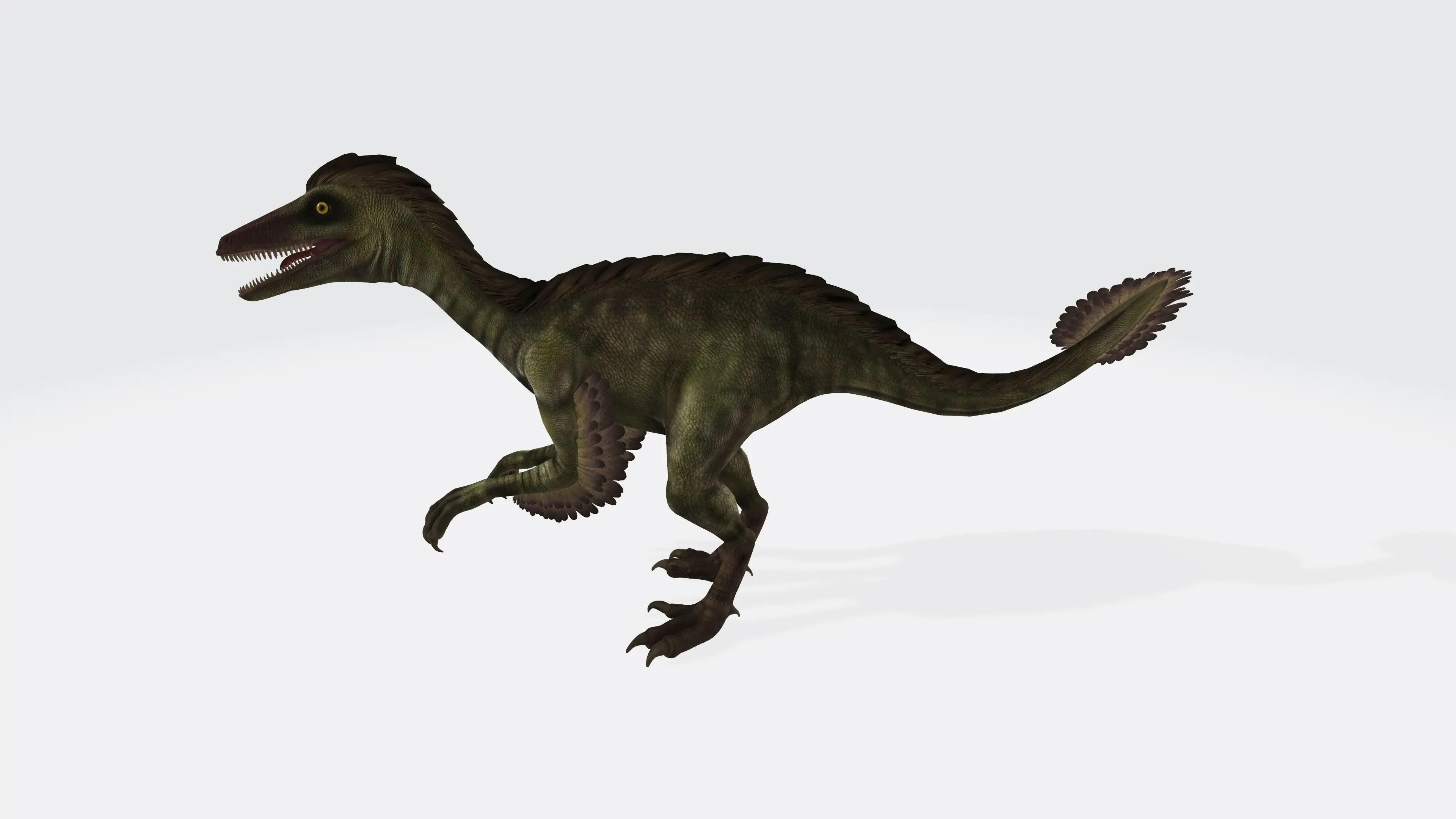 The Heterodontosaurus