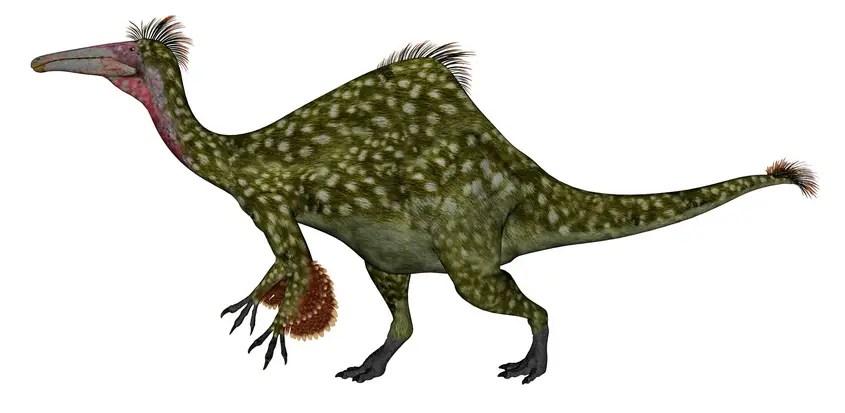 Life restoration of the giant Late Cretaceous Gigantoraptor erlianensis