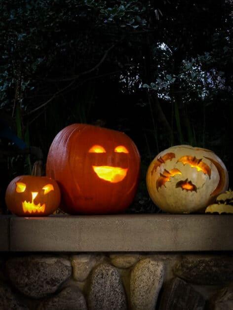 Jack-o'-Lantern Pumpkins halloween