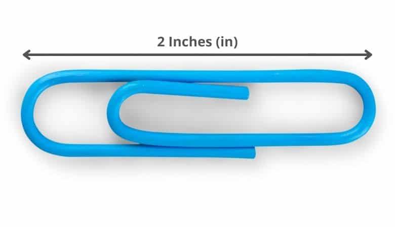 12 Things That Are About 5 Centimeters (cm) Long