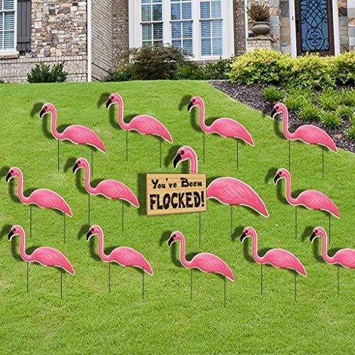 What Do Pink Flamingos Mean?