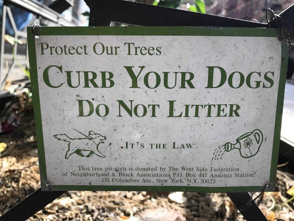 Sign on a tree fence which says, "Protect Our Trees. Curb your dogs. Do not litter. It