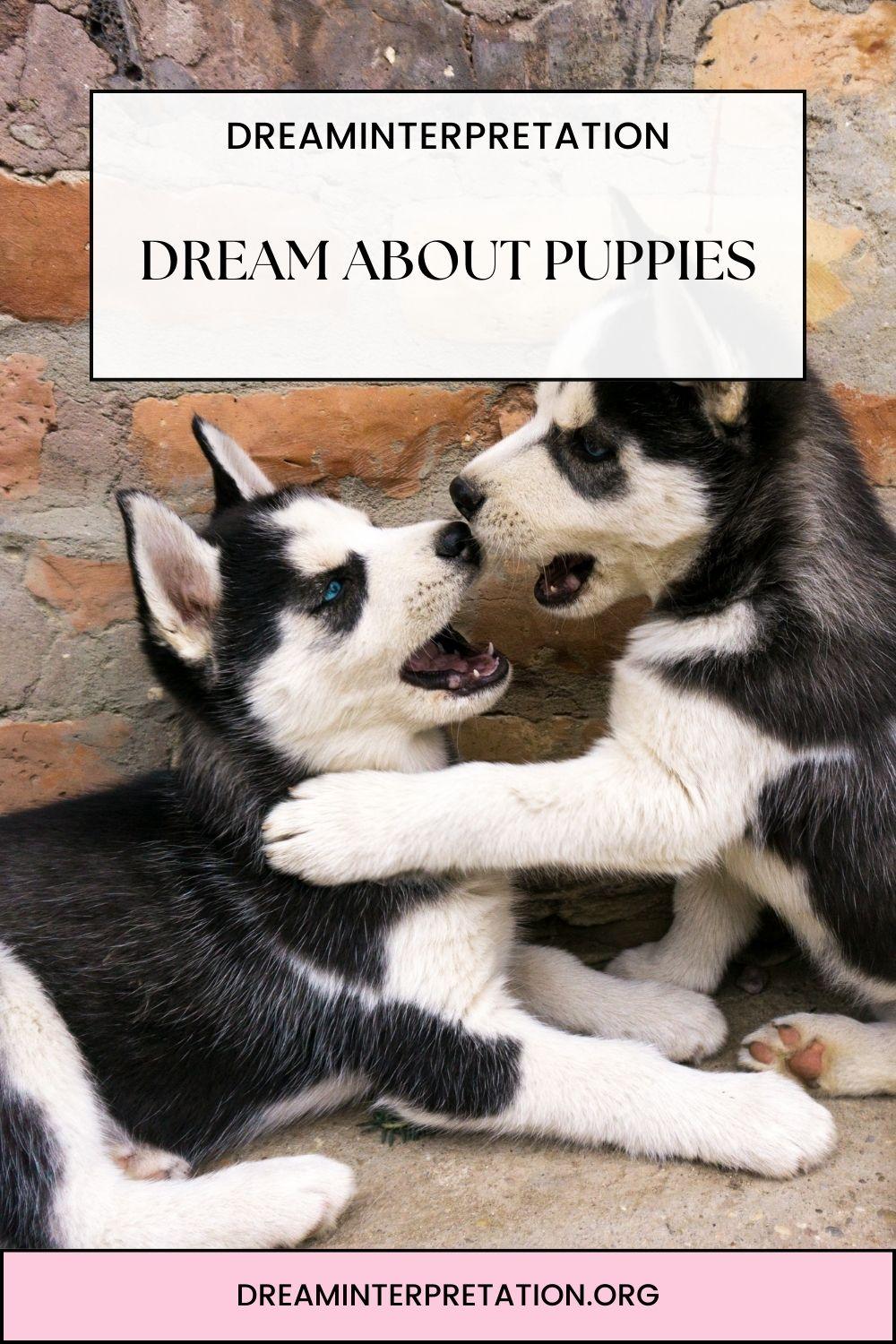 Dream About Puppies