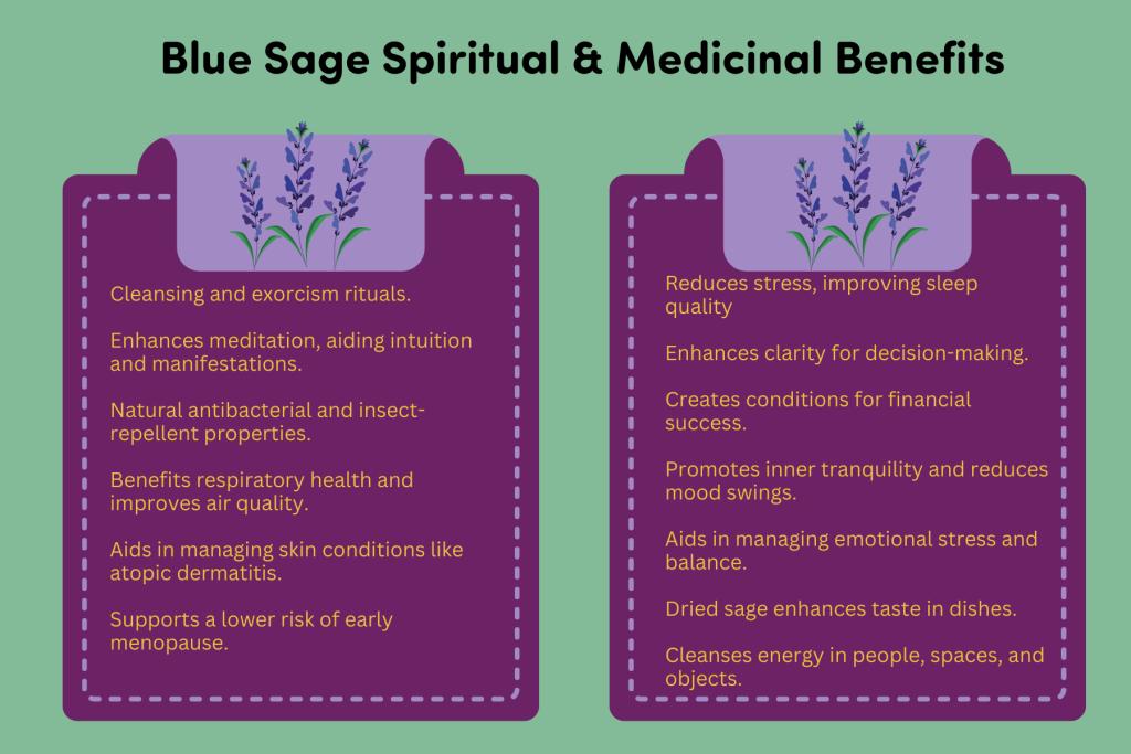 Blue Sage Benefits