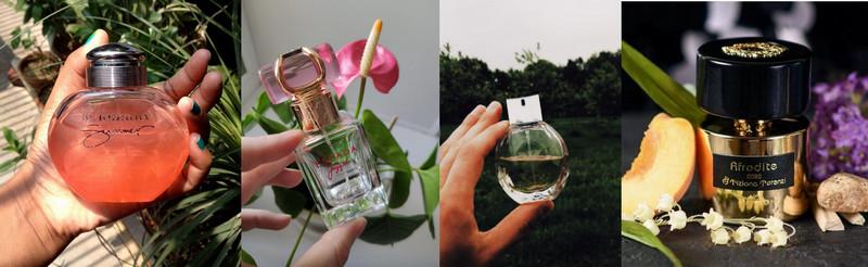 alternatives-of-lana-del-reys-perfumes