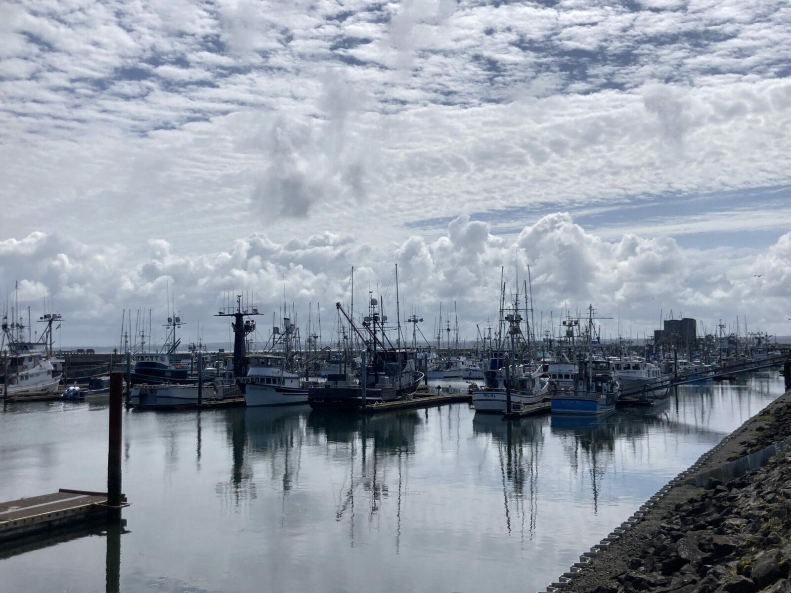 A marina full of commercial fishing boats and charter fishing boats on a partly sunny day