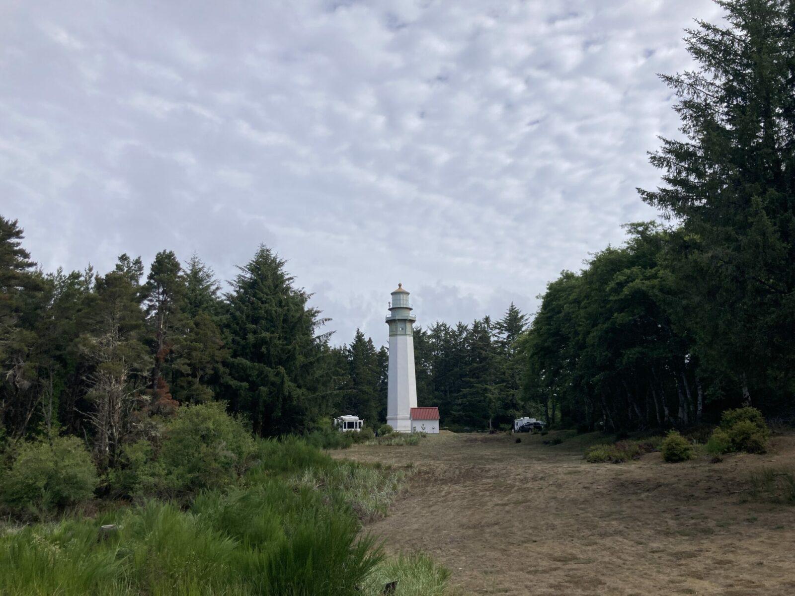 A white lighthouse with a red roof in the middle of a forest of tall trees.
