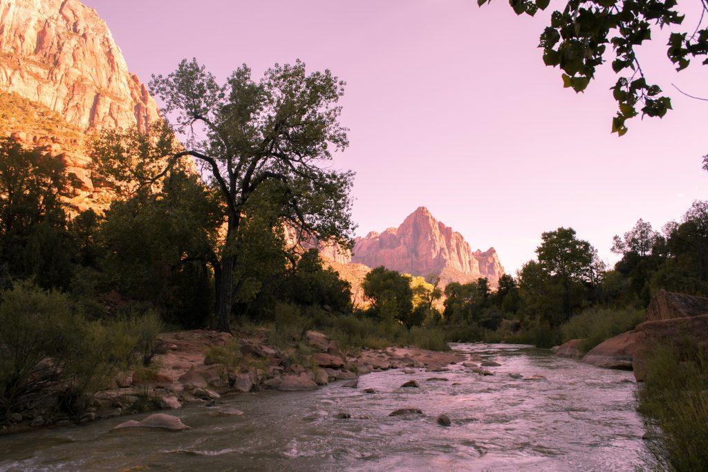 Canyon Junction Bridge Zion