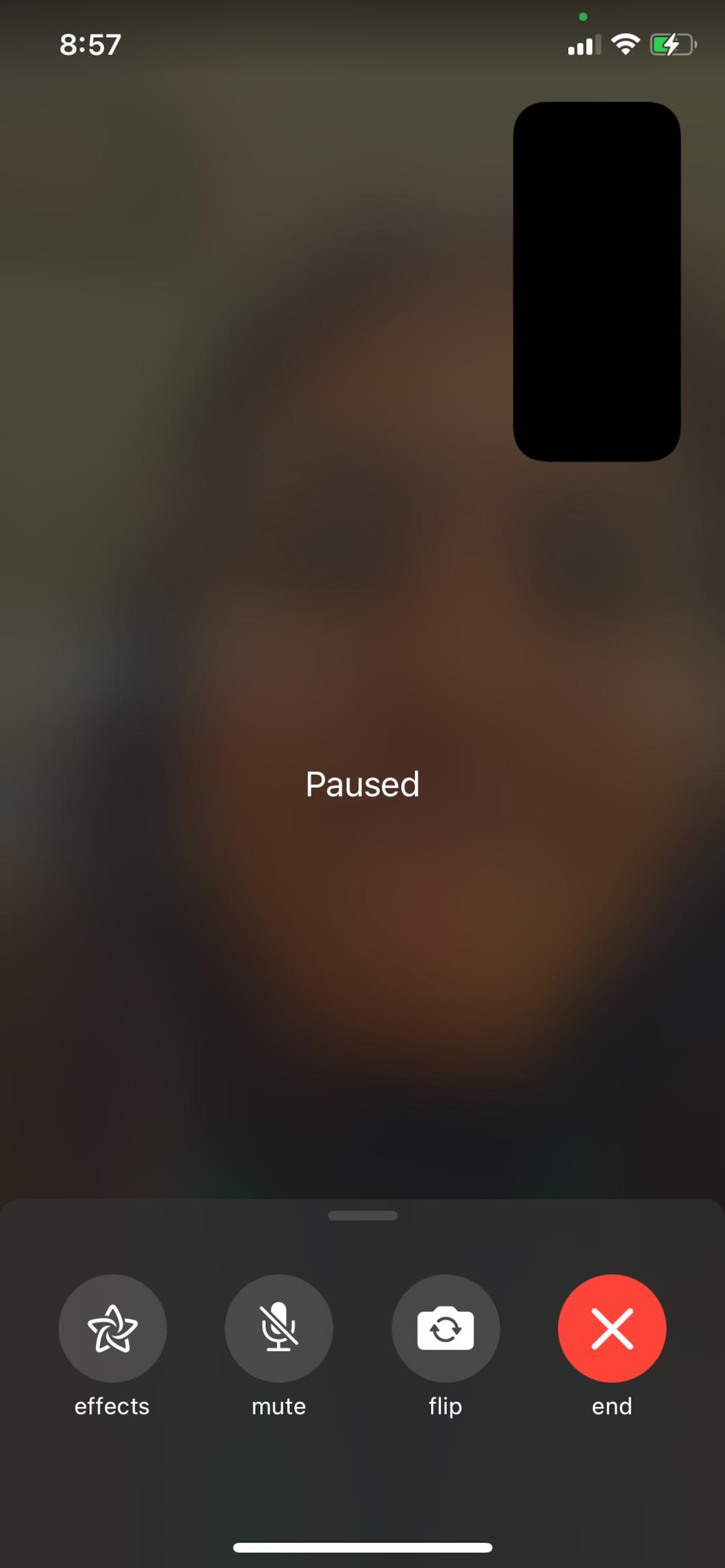 Screenshot of FaceTime video