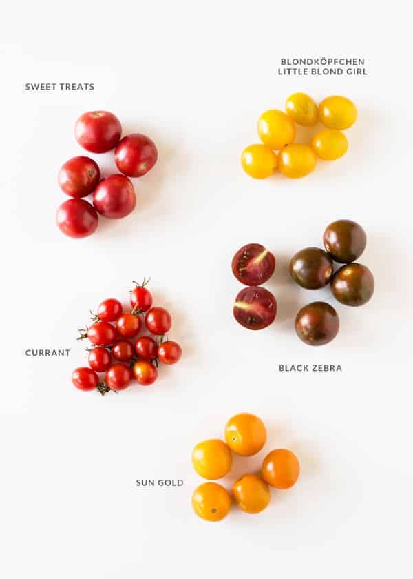 A Guide to Heirloom Tomatoes