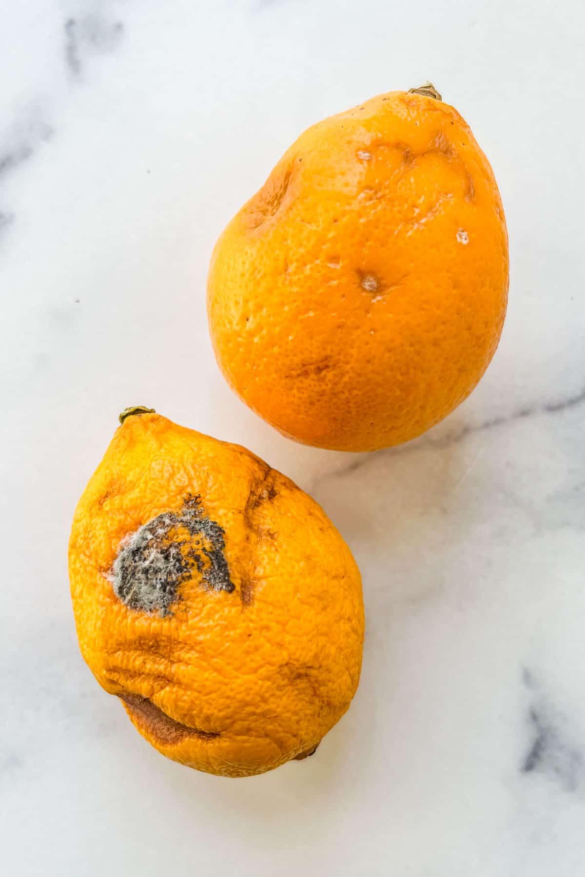Two rotten lemons on a marble background.