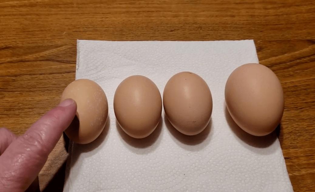 egg sizes