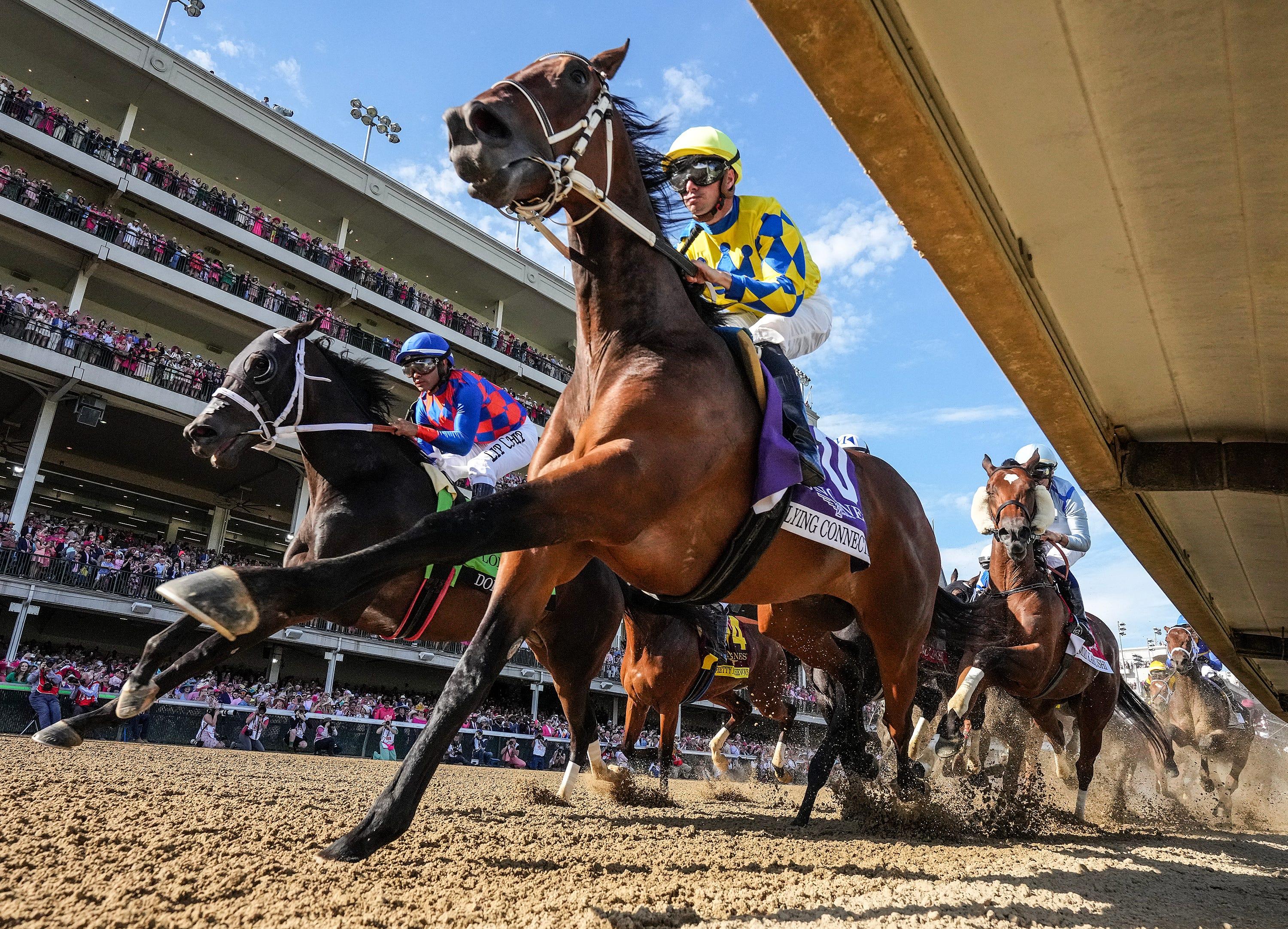 The field for the 149th Running of the Kentucky Oak makes their way past the grandstands at Churchill Downs on May 5, 2023