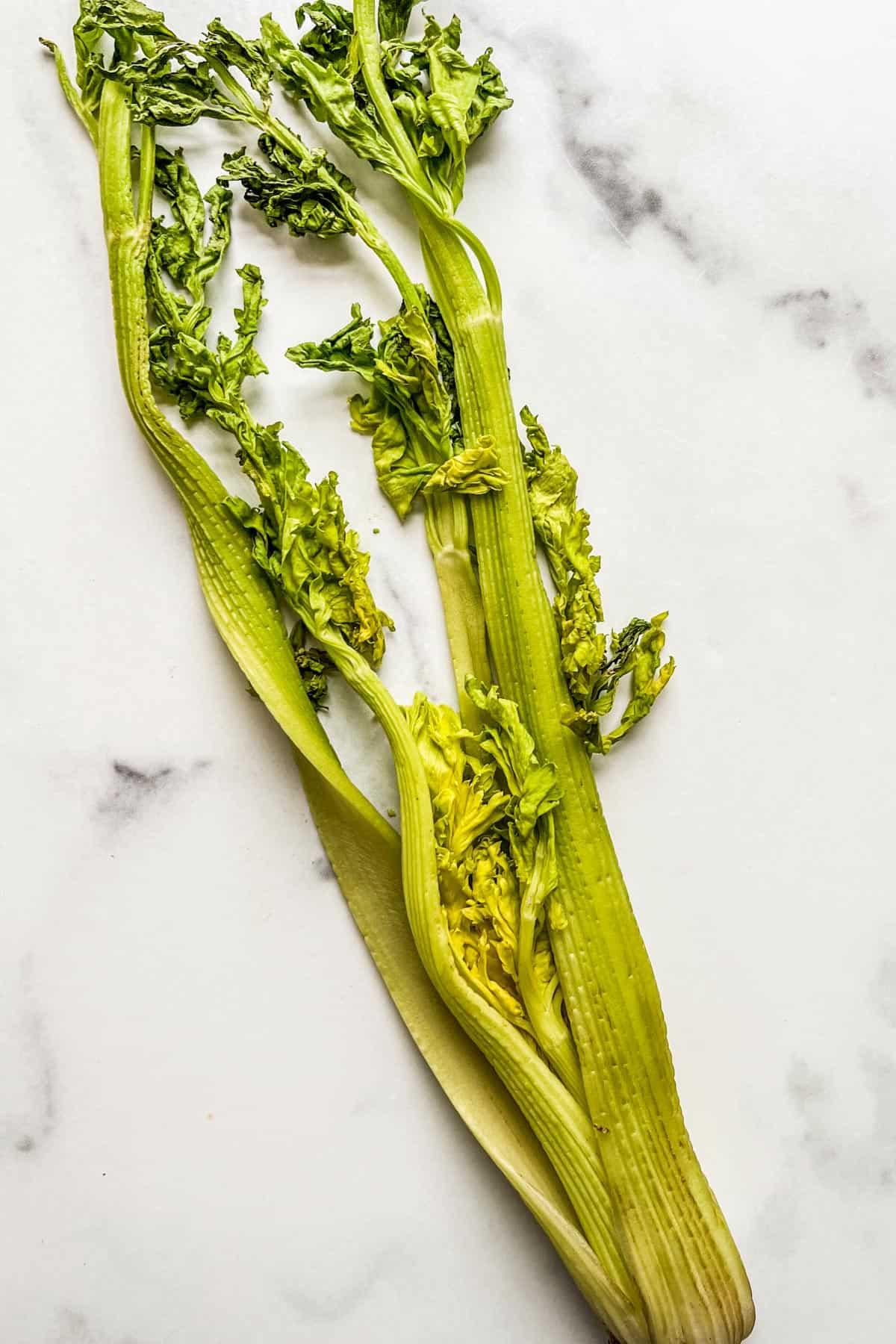An old head of celery with dry leaves.