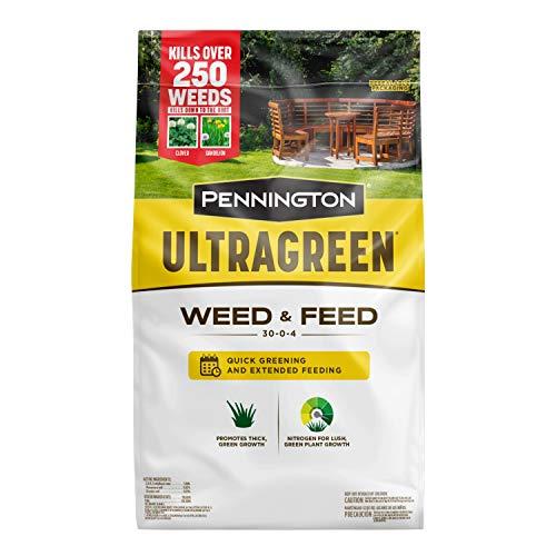 Homeowner man spraying weed killer on his front yard with a hose attachment full of chemicals that kills weeds and fertilizes the grass.