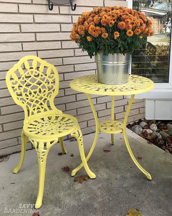 potted mums on a table in fall