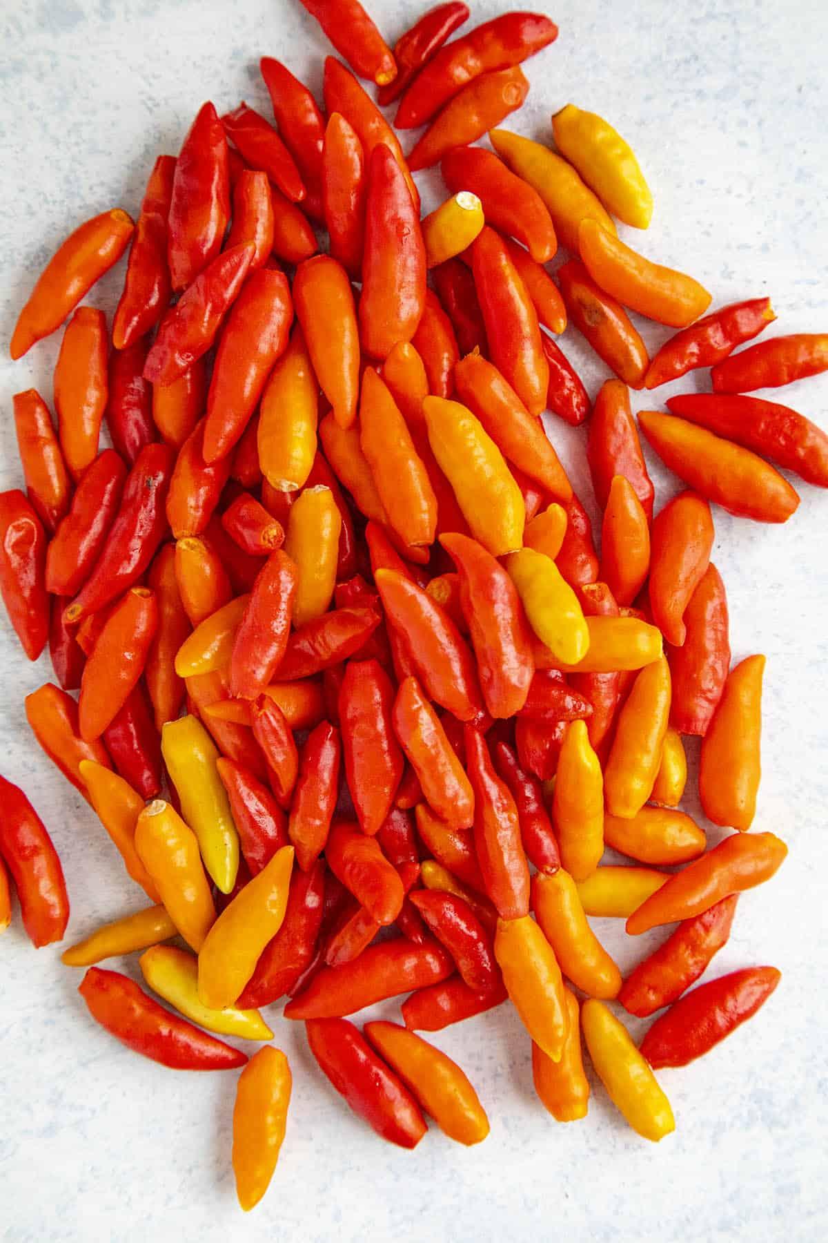 Tabasco Peppers