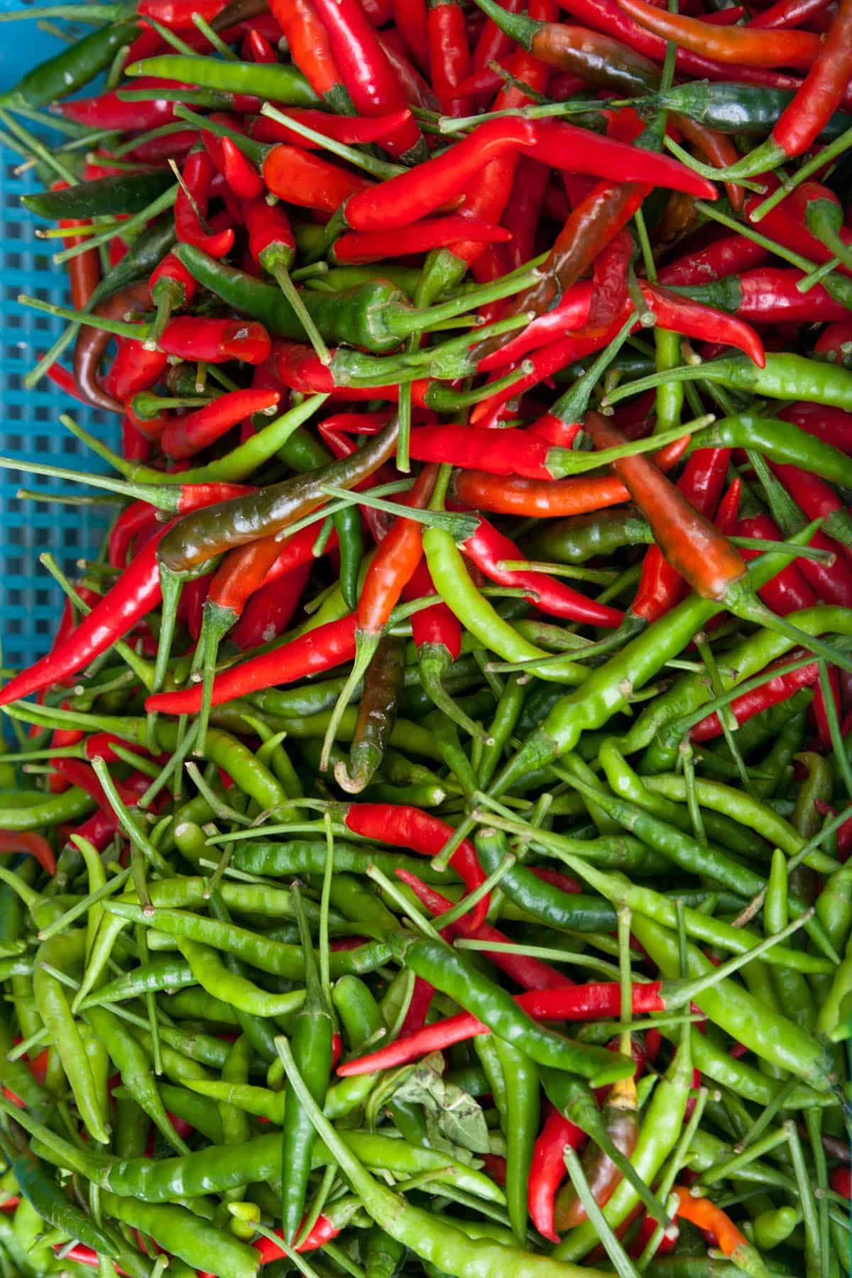 Tabasco Peppers